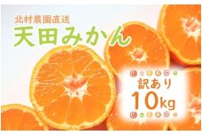 先行予約【2025年11月下旬より発送】濃厚温州みかんご家庭用10kg（和歌山天田みかん）みかんの産地和歌山　北村農園直送