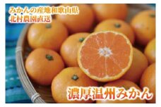 先行予約【2025年11月下旬より発送】濃厚温州みかん贈答用10kg（和歌山天田みかん）みかんの産地和歌山　北村農園直送