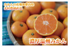 先行予約【2025年11月下旬より発送】濃厚温州みかん贈答用10kg（和歌山天田みかん）みかんの産地和歌山　北村農園直送