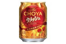【南高梅100％】The CHOYA ウメッシュプレミアム 250ml×24本 ［MG82］
