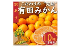【訳あり】有田みかん 約10kg【2024年10月下旬より順次発送】