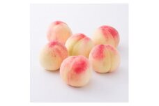 和歌山県産 桃 5玉～6玉 約1.5kg 秀品 2025年7月上旬から2025年8月下旬発送予定 【US35】