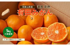 ［先行予約］ご家庭用 完熟有田みかん 約5kg［2025年11月発送予定］訳あり 農家直送［MS31-1］