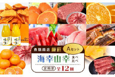 【魚鶴商店厳選！】人気の海幸山幸食べ比べ【定期便全12回】セットA【UT109】