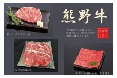 【定期便全3回】熊野牛 極上定期便セットB（1カ月に1回お届け）（全3ヵ月）