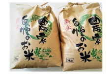 きぬひかり10kg（5kg×2）【2023年新米の先行予約】