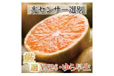 ＜9月より発送＞ 厳選 極早生 有田みかん 4kg+120g（傷み補償分）YN26 ゆら早生 ［IKE168］