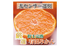 プレミアム 有田みかん2.5kg+250g（傷み補償分）［2025年10月上旬から2026年1月下旬頃順次発送予定］［IKE251］