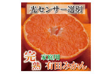 家庭用 有田みかん10kg+250g（傷み補償分）［2025年10月上旬から2026年1月下旬頃順次発送予定］［IKE252］