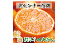 ＜11月より発送＞ 厳選 小玉な 有田みかん 5kg+150g（傷み補償分） 光センサー選果 ［IKE188］
