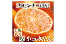 家庭用 小さな有田みかん5kg+250g（傷み補償分）［2025年10月上旬から2026年1月下旬頃順次発送予定］［IKE245］