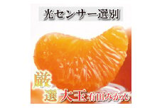 ＜11月より発送＞ 厳選 大きな 有田みかん 10kg+300g（傷み補償分） 光センサー選果 ［IKE182］