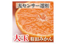 家庭用 大きな有田みかん10kg+250g（傷み補償分）［2025年11月中旬から2026年1月下旬頃順次発送予定］［IKE243］