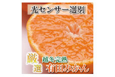 ＜1月中頃より発送＞ 厳選 越冬完熟みかん 5kg+150g（傷み補償分） ハウスみかん 光センサー選果［IKE194］