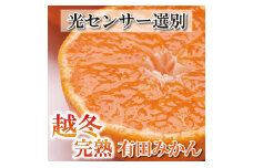＜1月中頃より発送＞ 家庭用 越冬完熟みかん 2.5kg+75g（傷み補償分） ハウスみかん 訳あり わけあり 光センサー選果［IKE190］