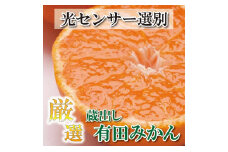＜1月より発送＞ 厳選 蔵出みかん 3kg+90g（傷み補償分） ［IKE199］