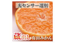家庭用 蔵出しみかん5kg+250g（傷み補償分）［2026年1月中旬から2026年2月下旬頃順次発送予定］［IKE242］