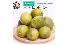 ＜9月より発送＞ 加工用 黒潮 レモン 5kg+150g（傷み補償分） 和歌山有田産 防腐剤・WAX不使用 安心の国産レモン 訳あり わけあり レモン 果汁用［IKE80］