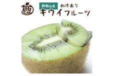 ［先行予約］家庭用 キウイ5kg+250g（傷み補償分）【わけあり・訳あり・扁平果】［IKE104］