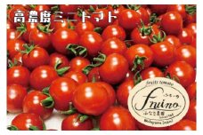 【2025年3月発送】フルーツトマト「fruino ふるーの」1箱（4パック）