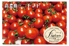 【2025年4月発送】フルーツトマト「fruino ふるーの」1箱（4パック）