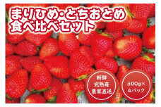 朝どり新鮮完熟苺食べ比べセット！【まりひめ】【とちおとめ】