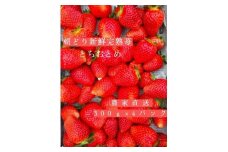 朝どり新鮮完熟苺！【とちおとめ】