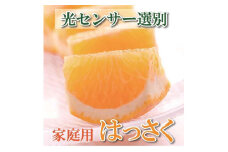 ＜4月より発送＞ 家庭用 樹上完熟 はっさく5kg+150g（傷み補償分） 八朔 訳あり わけあり さつき 木成 ［IKE35］