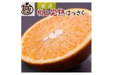 ［先行予約］厳選 樹上完熟はっさく5kg+250g（傷み補償分）［有田の春みかん・五月八朔・木生りはっさく］［光センサー選別］［IKE33］