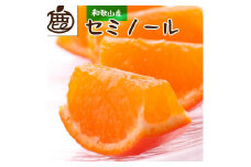 ＜4月より発送＞ 厳選 セミノールオレンジ 5kg+150g（傷み補償分） 有田の春みかん 有田産 光センサー食べ頃出荷 ［IKE155］