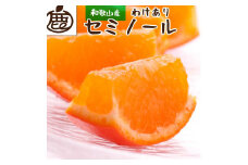＜4月より発送＞ 家庭用 セミノールオレンジ 5kg+150g（傷み補償分） 有田の春みかん 有田産 光センサー食べ頃出荷 訳あり わけあり ［IKE152］