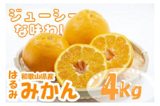 はるみみかん　和歌山県御坊産　先行予約（10～24玉）4キロ【2023年2月中旬以降発送】