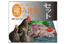 紀の国みかん極み地鶏セット