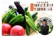 【先行予約】旬のこだわり5種類セット