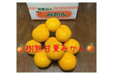 地元印南町産 樹熟 甘夏みかん 約4kg（10個前後)　大玉L～2Lサイズ