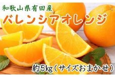 和歌山県有田産バレンシアオレンジ約5kg（サイズおまかせ）★2025年６月下旬より順次発送予定【TM52】
