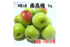 青梅（生梅）紀州南高梅 3kg 梅酒用・梅シロップ用 2L/3Lサイズ
