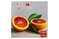 希少な柑橘!紀州有田産ブラッドオレンジ約3kg 【ご家庭用】【2026年3月上旬以降発送】【先行予約】【UT55】