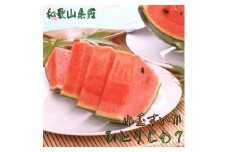【厳選】小玉すいか『ひとりじめ７』Ｍサイズ ／2玉入り【農家直送】【先行予約】【和歌山県産】