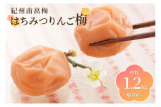 紀州綜合食品　はちみつりんご梅1.2kg　中粒