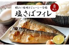 お魚のバラエティ定期便（塩サバ 甘口塩銀鮭切身 うなぎ蒲焼 サーモン）【定期便・全4回】【魚鶴商店】
