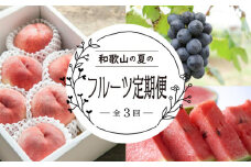 定期便全3回 和歌山の人気の夏のフルーツをお届け！ ［TM204］