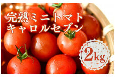 ［先行予約］完熟 ミニトマト 2kg  果物のような甘さと美味しさキャロルセブン｜ミニトマト キャロルセブン 糖度