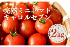 ［先行予約］完熟 ミニトマト 2kg  果物のような甘さと美味しさキャロルセブン｜ミニトマト キャロルセブン 糖度