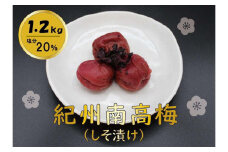 紀州綜合食品 紀州南高梅 しそ漬1.2kg 中粒 梅干し