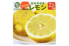 ［ご家庭用訳あり］ 紀州有田産レモン 2.5kg［2026年3月上旬以降発送］［先行予約］［UT46］