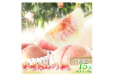 紀州和歌山産の桃 15玉 化粧箱入 【2025年6月下旬より順次発送】【UT97】