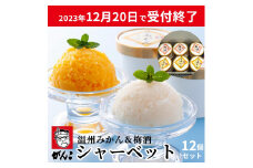 がんこ和歌山六三園の紀州シャ－ベットセット