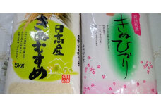 きぬむすめ精米5kg・きぬひかり精米5kg【令和5年産】（発送日前日精米）