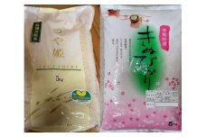 つや姫精米5kg・きぬひかり精米5kg【令和5年産】（発送日前日精米）
